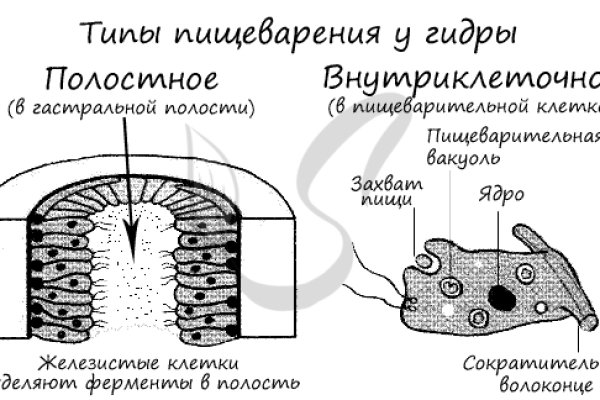 Работает ли кракен