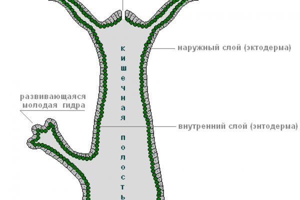 Прямая ссылка на кракен