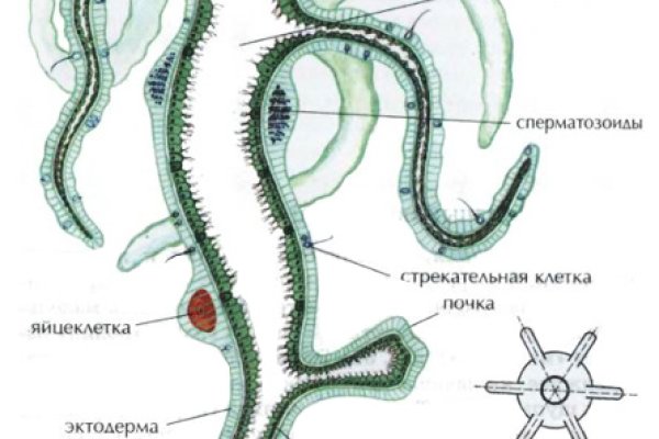 Как вернуть деньги с кракена
